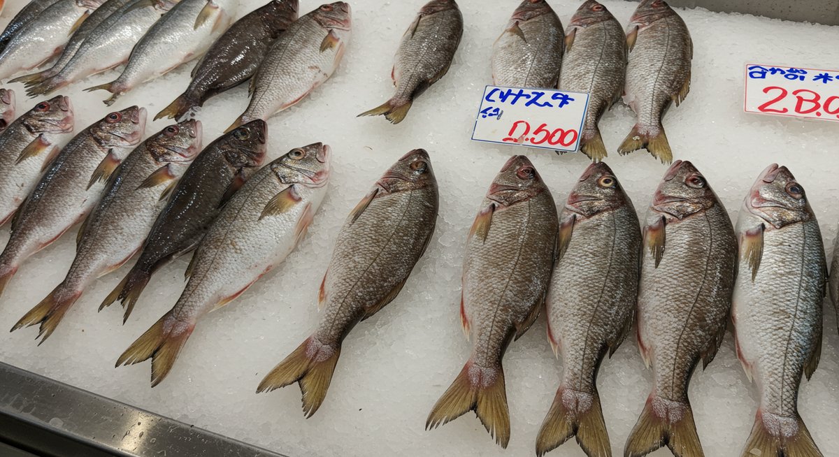 クロムツ 値段