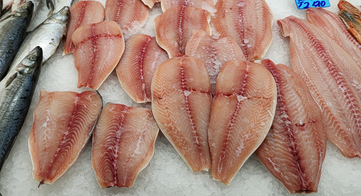 サワラ は 青魚 です か